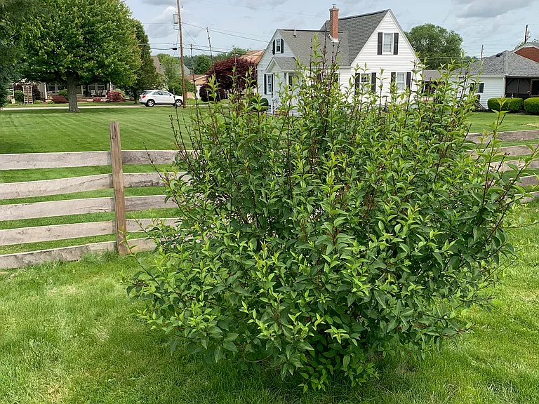 141 Homewood Ave — Photo 32
