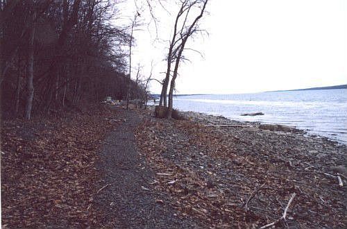 Additional Shore Line view
