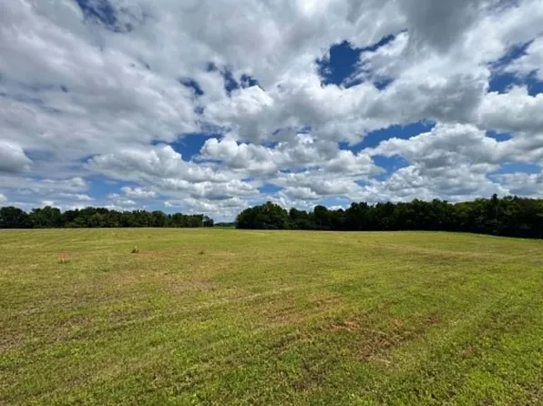 0 Ben Armstrong Rd Lot 4, Castalian Springs, TN 37031