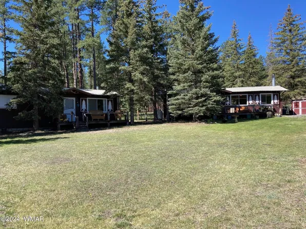 25329 Highway 191, Alpine, AZ 85920