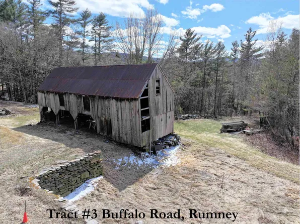 Tract 3 Buffalo Road, Rumney, NH 03266