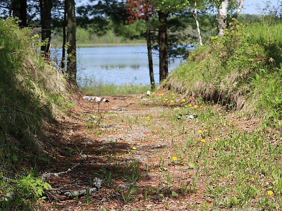Walk-way to the dock. 