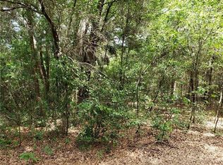 0 Oaklane Rd, Valrico, FL 33596