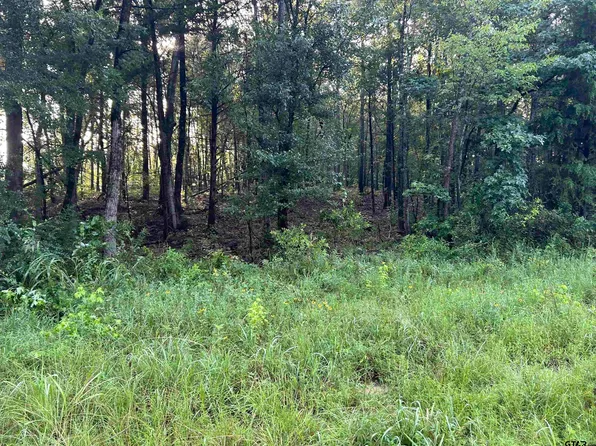 20085 County Road 2138, Troup, TX 75789