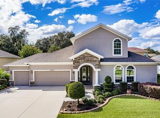3320 Anna George Dr, Valrico, FL 33596