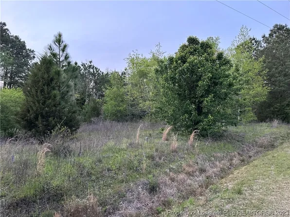 0 Locks Creek Church Rd, Fayetteville, NC 28312