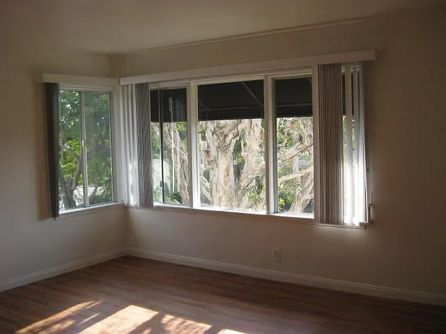 Living Room windows