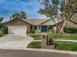 3535 Springville Dr, Valrico, FL 33596
