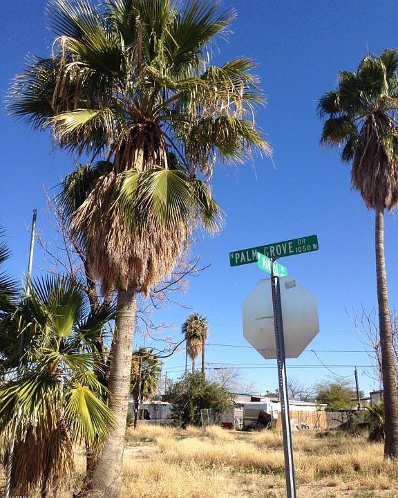 1st image of 4100 N Palm Grove Dr