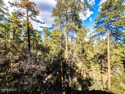 1133 N Madizell Dr, Prescott, AZ, 86305