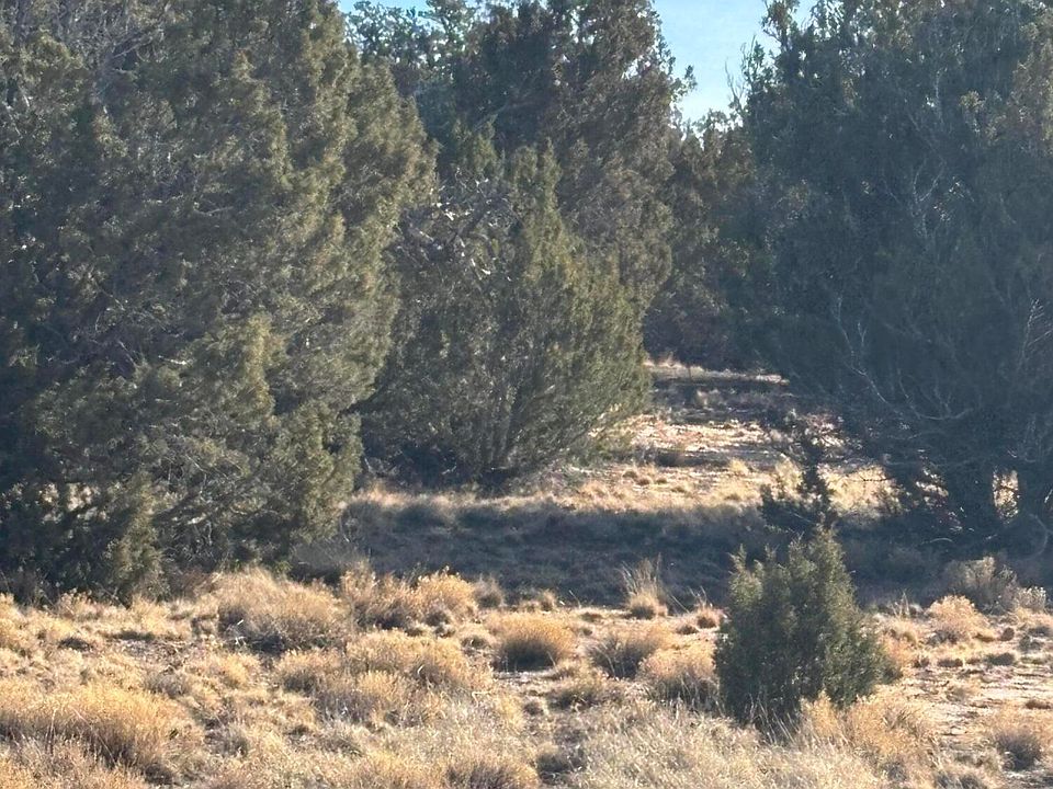 1st image of 337 N 8269th