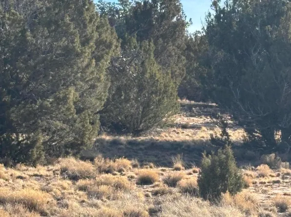 337 N 8269th, Concho, AZ 85924