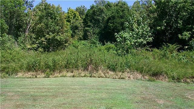 2nd image of 65 Redd Branch Rd