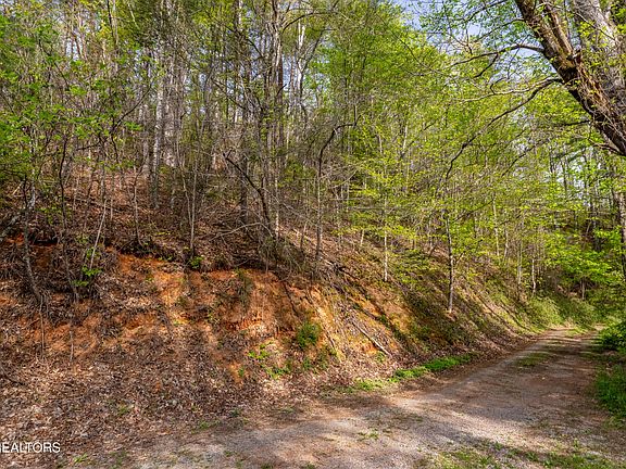 5th image of 240 Mount Luke Rd Lot 2-3