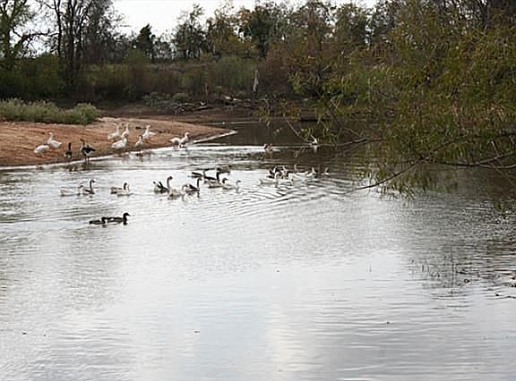 5th image of 8000 County Road 305