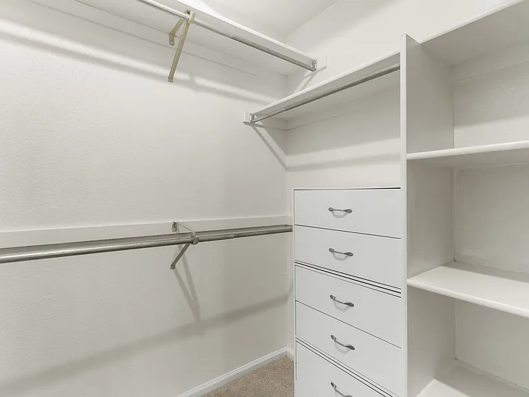 Primary bedroom offers a large walk-in closet with ample storage.