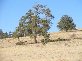 5109 Arikara Trl #5109, Hartsel, CO 80449