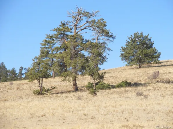 5109 Arikara Trail LOT 5109, Hartsel, CO 80449