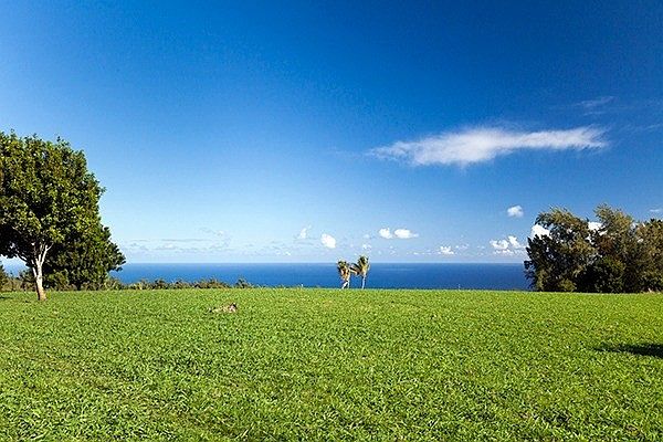 1st image of 54-594 Kapaau Rd Lot 6