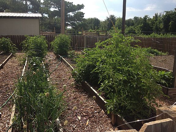 3rd image of 910 Briar Grove Ct