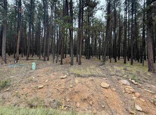 LOT 115 San Juan Dr, Angel Fire, NM 87710