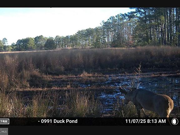 4th image of 2839 Lakesville Crapo Rd