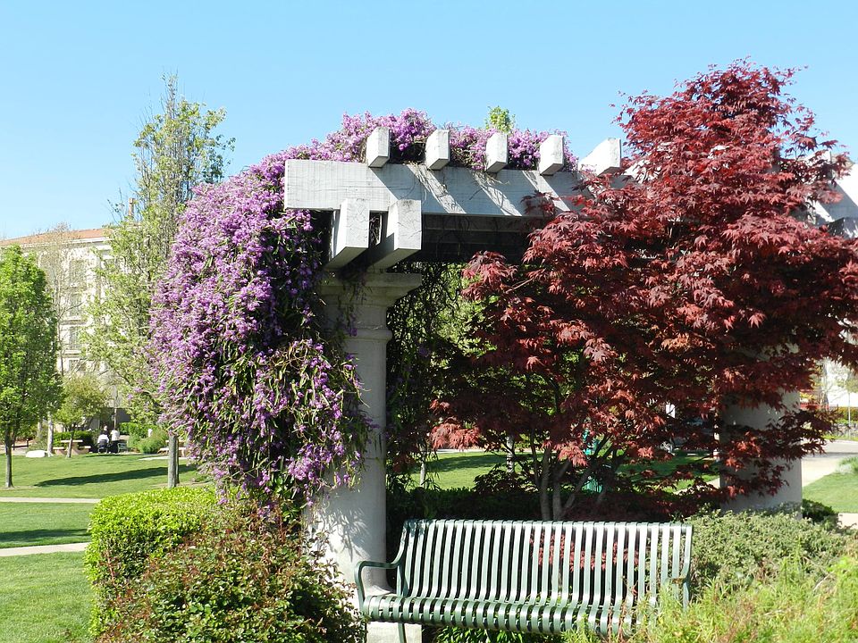 Alma Park 
