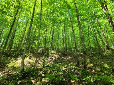 S Defer Rd #20ACRES, Hurley, WI, 54534