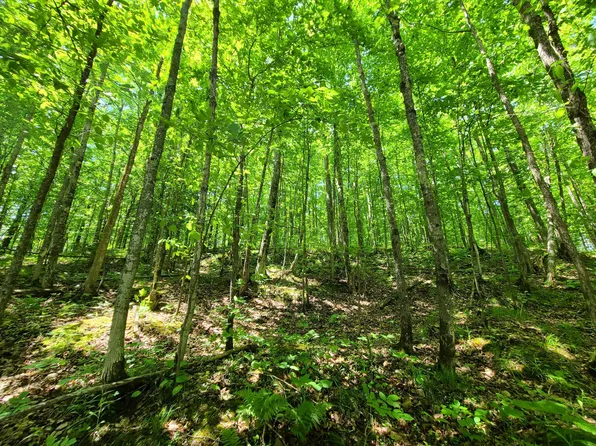 S Defer Rd #20ACRES, Hurley, WI 54534