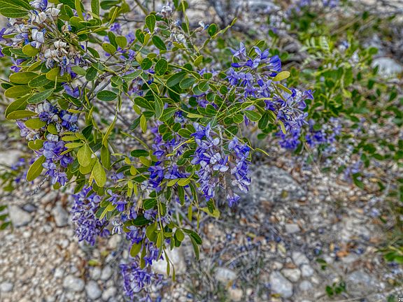 2nd image of 9600 Ranch Road 336