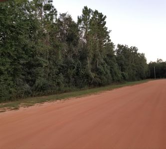 4 Acres Redd Ln, Defuniak Springs, FL, 32433