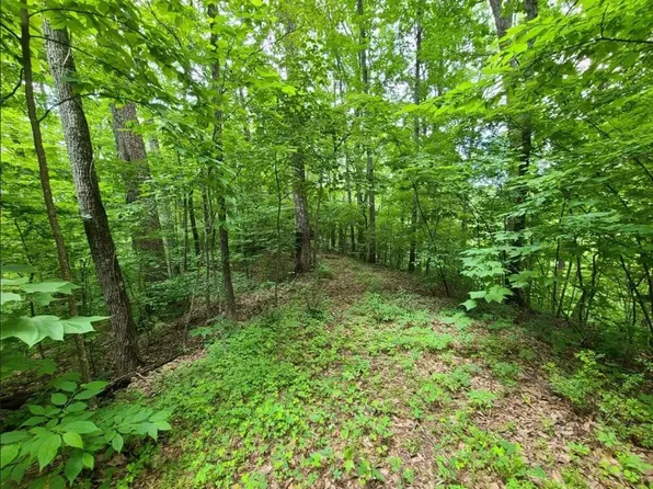 LOT 28 Sonshine Ridge Rd, Cosby, TN 37722