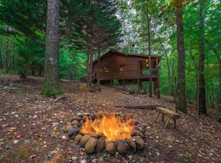 473 Cherry Lake Dr, Cherry Log, GA 30522