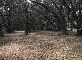 21381 S Buckhill Rd, Clermont, FL 34715