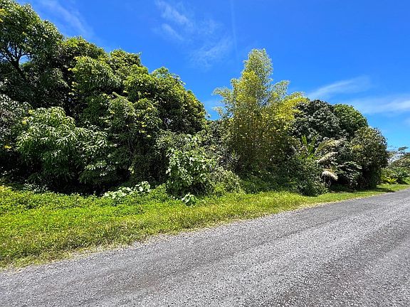 2nd image of 11th Avenue Kika Lot 783