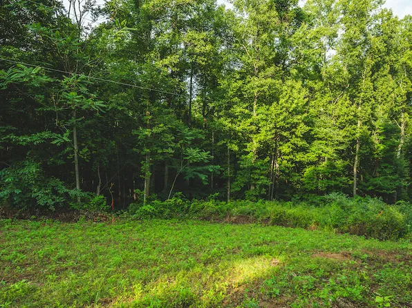 LOT 9 Woolwine Hwy, Woolwine, VA 24185