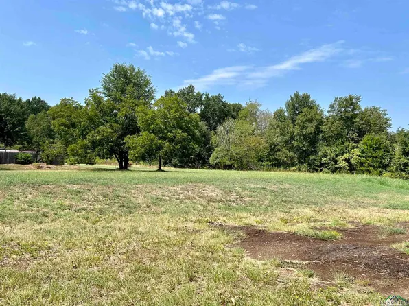 New Town Rd, Kilgore, TX 75662
