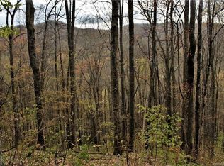 0 Conley Mountain Association Rd, Whittier, NC 28789