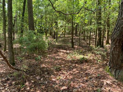 0 Waters St, Abbeville, AL, 36310