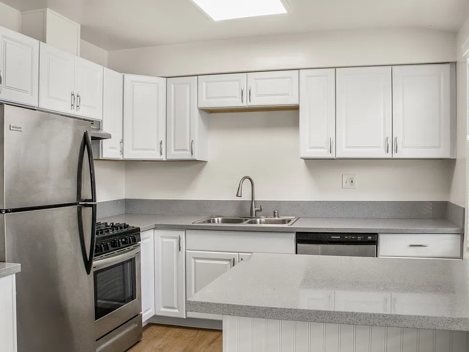 Kitchen and Modern Appliances