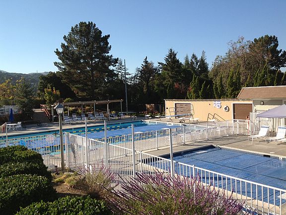 Cup. Hills Swimming Pools