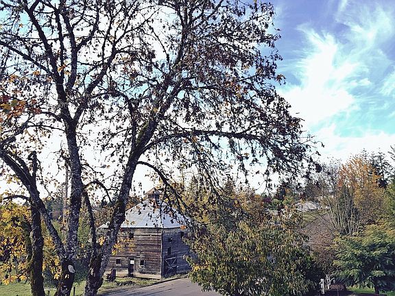 Back porch view