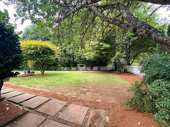 Back yard