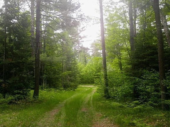 3rd image of On Bearskull Rd