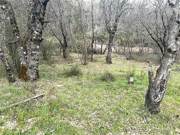 5th image of 9505 Salmina Rd