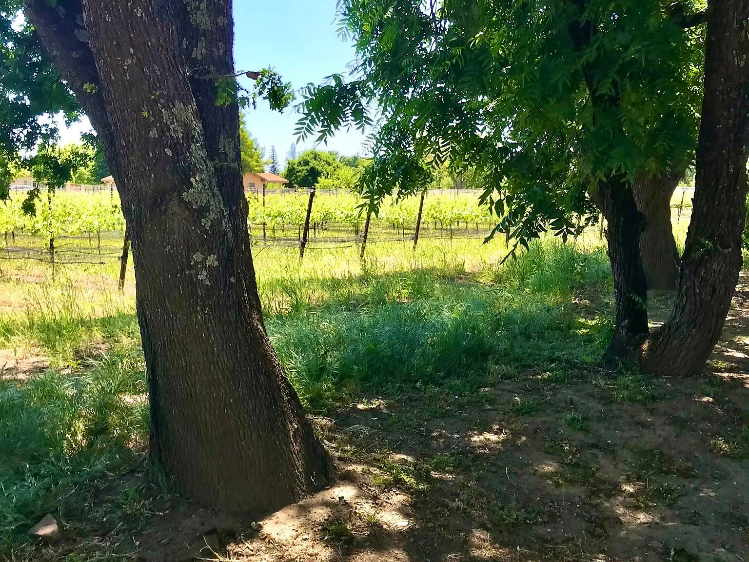 4100 Suisun Valley Rd — Photo 1