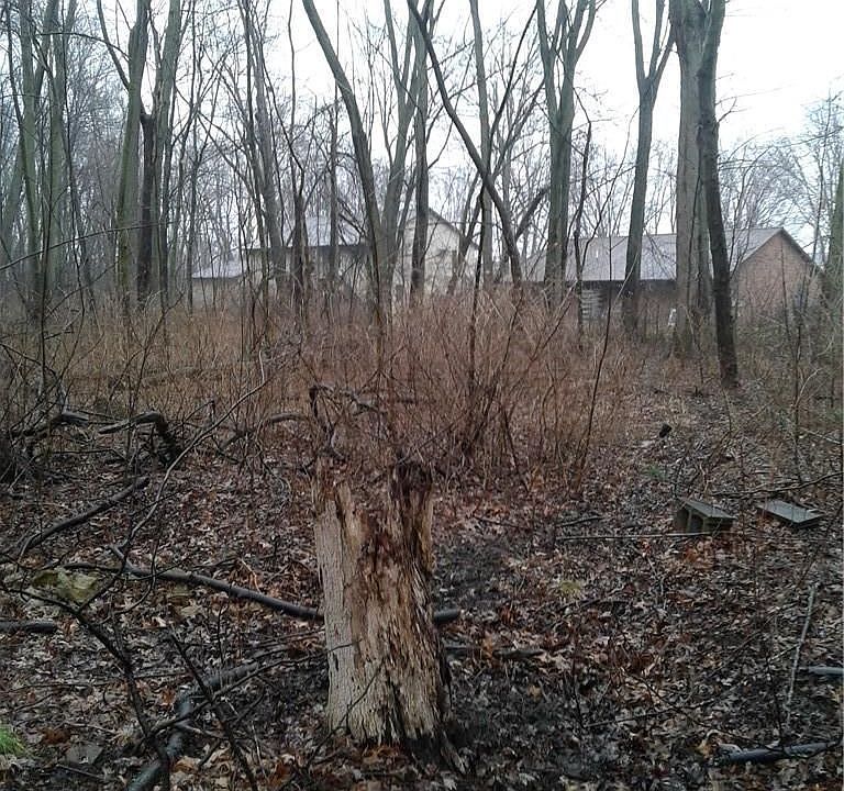 2nd image of Mapleview Ave
