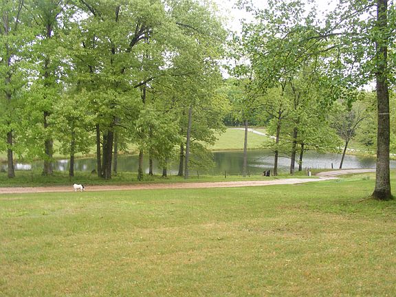 View from front porch