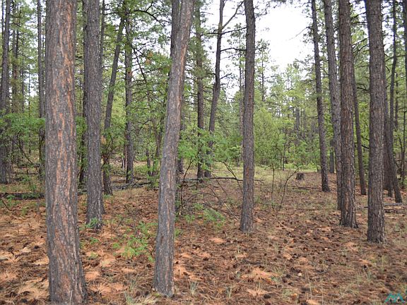 5th image of 23 Forest Rd #157