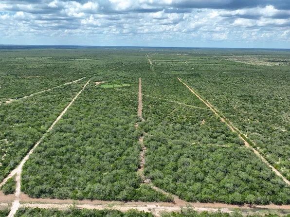 8525 CR 211, Benavides, TX 78341